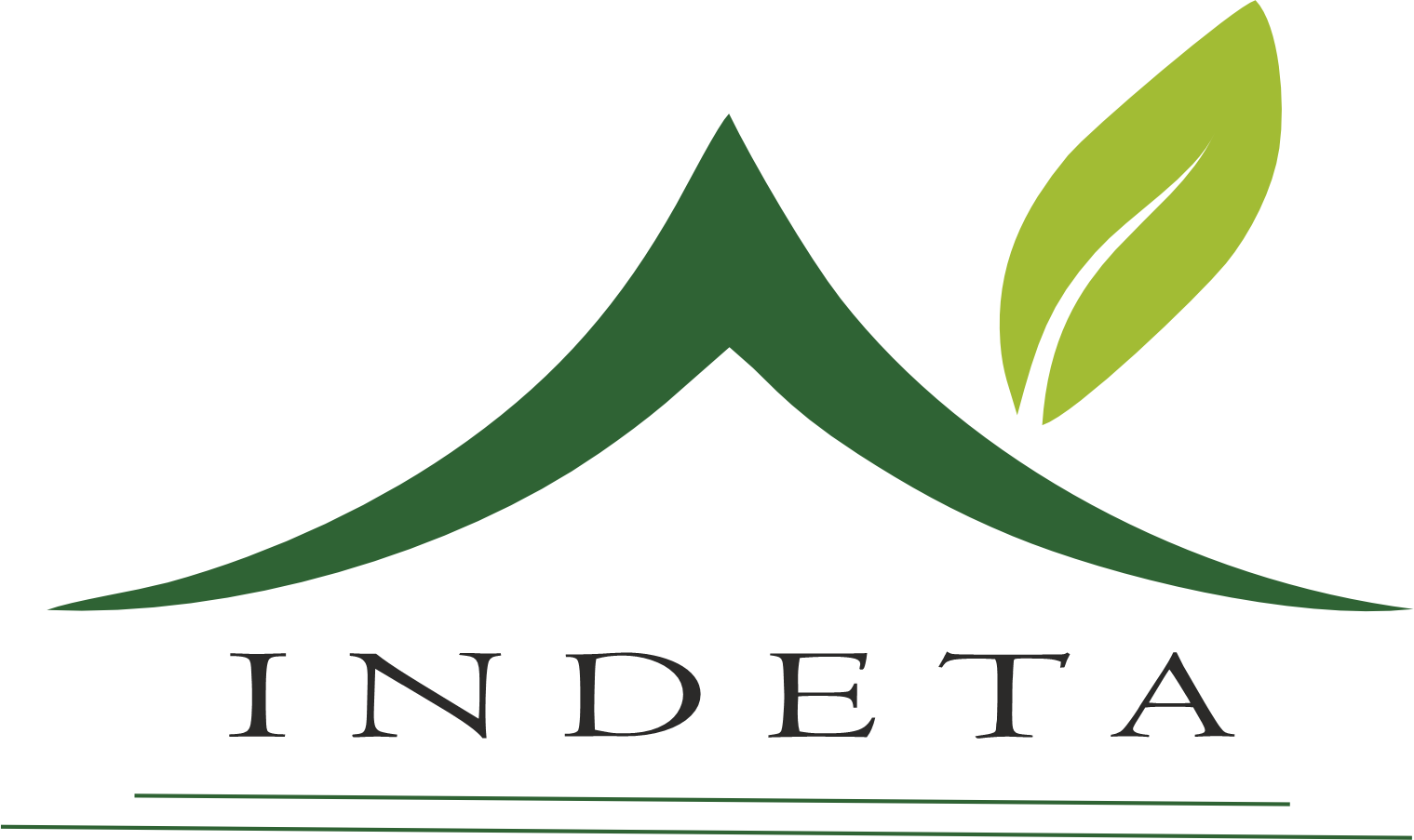 Logo INdeta